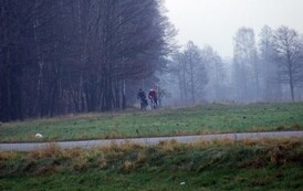 rm0612200807