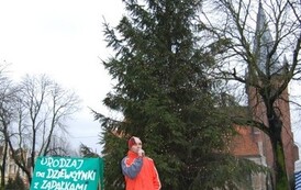 dzz2212200806