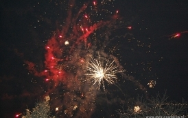 wosp1101200973