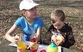 rrr0404200948