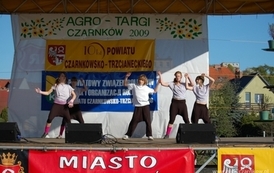 at1904200978