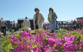 at1904200926