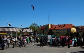 at1904200909
