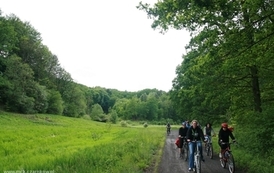 sgnw2405200948