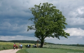 sgnw2405200946