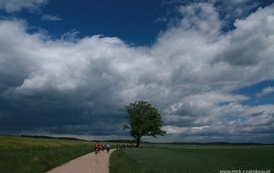sgnw2405200945