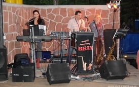 dzc_jn_31052009120