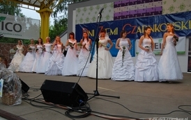 dzc_jn_31052009110