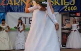 dzc_jn_31052009109