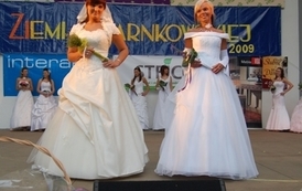 dzc_jn_31052009107