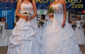 dzc_jn_31052009105