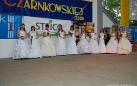 dzc_jn_31052009104