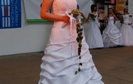 dzc_jn_31052009102