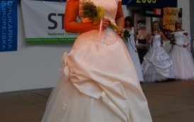 dzc_jn_31052009101