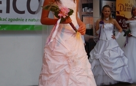 dzc_jn_31052009100