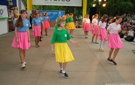 dzc_jn_3105200995