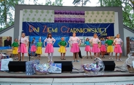dzc_jn_3105200994