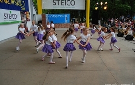 dzc_jn_3105200980