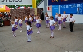 dzc_jn_3105200976