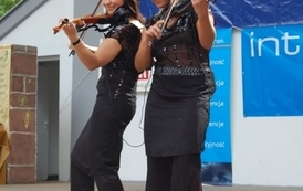 dzc_jn_3105200973
