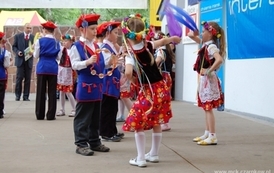 dzc_jn_3105200955