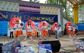 dzc_jn_3105200941