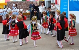 dzc_jn_3105200931