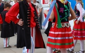dzc_jn_3105200929