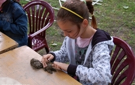 dzc_jn_3105200902