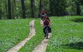 rw0706200915