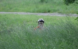 rw0706200910
