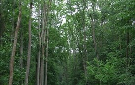 rrr1306200913