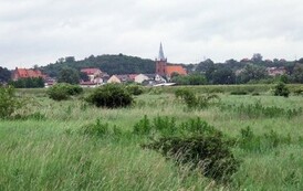 rrr1306200906