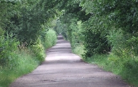 rl1007200992