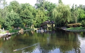 rl1007200986