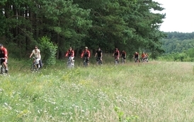 rc2607200907