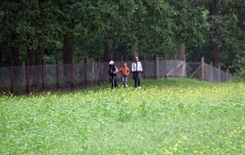 lp0509200907