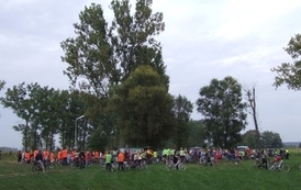edbs2209200978