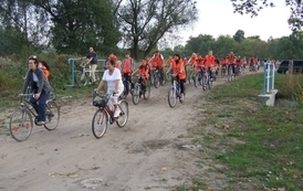 edbs2209200975
