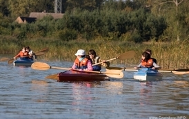 rrr2609200962