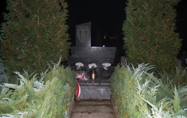 sn1011200917