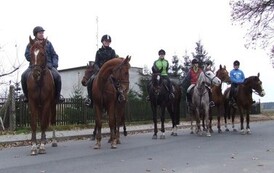 mr1111200939