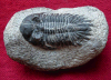 Miniatura Kamień