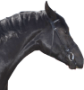 Łeb konia Łeb konia