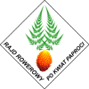 Logo rajdu Wizja artystyczna kwiatu paproci