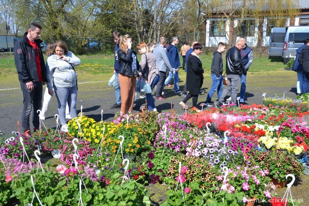 Zdjęcie do AgroTargi z rodziną 2022