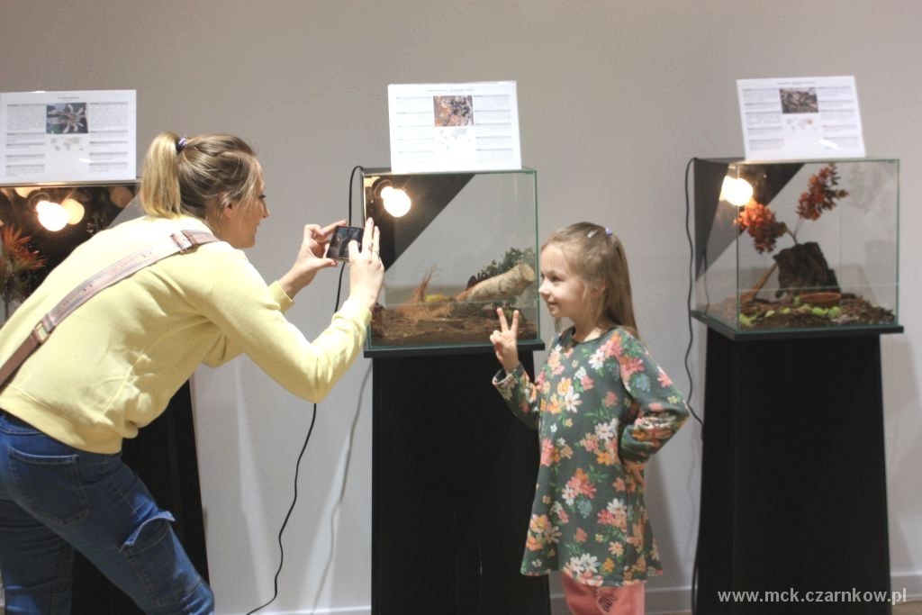 Zdjęcie do Muzeum pełne pająk&oacute;w 2023