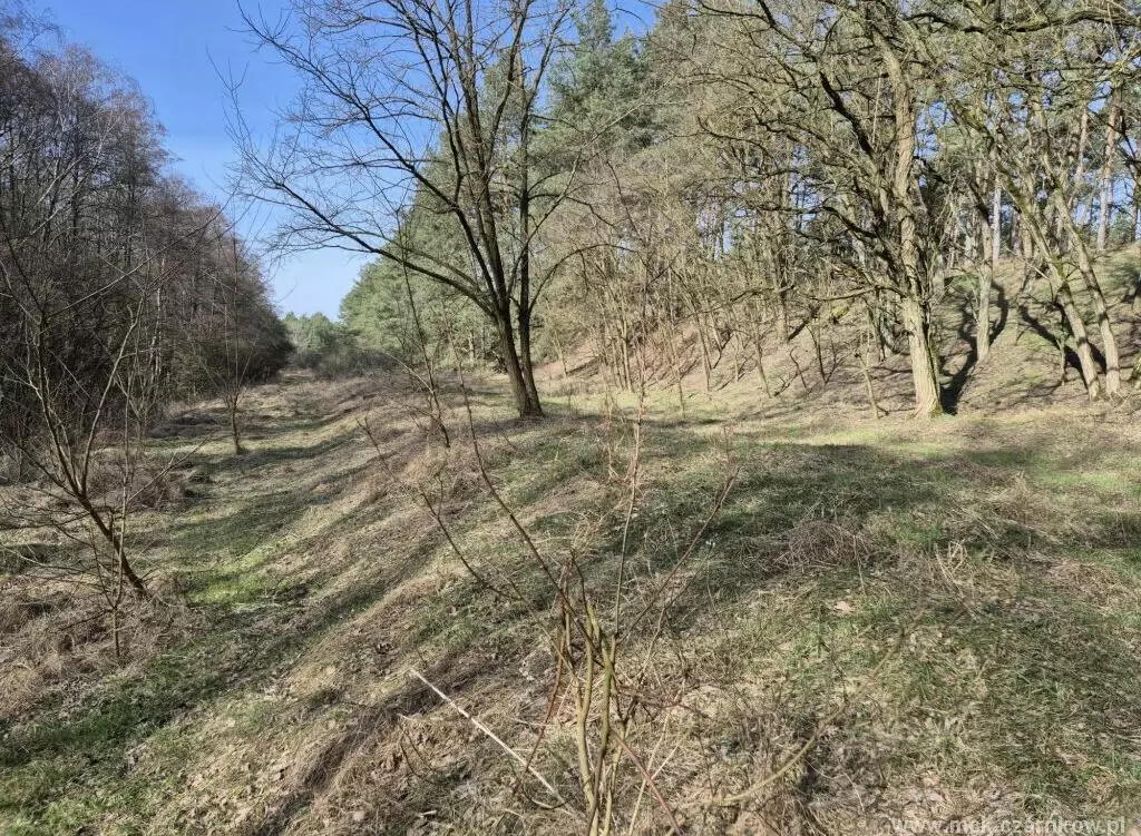 Zdjęcie do Śladami kolejki wąskotorowej 2025