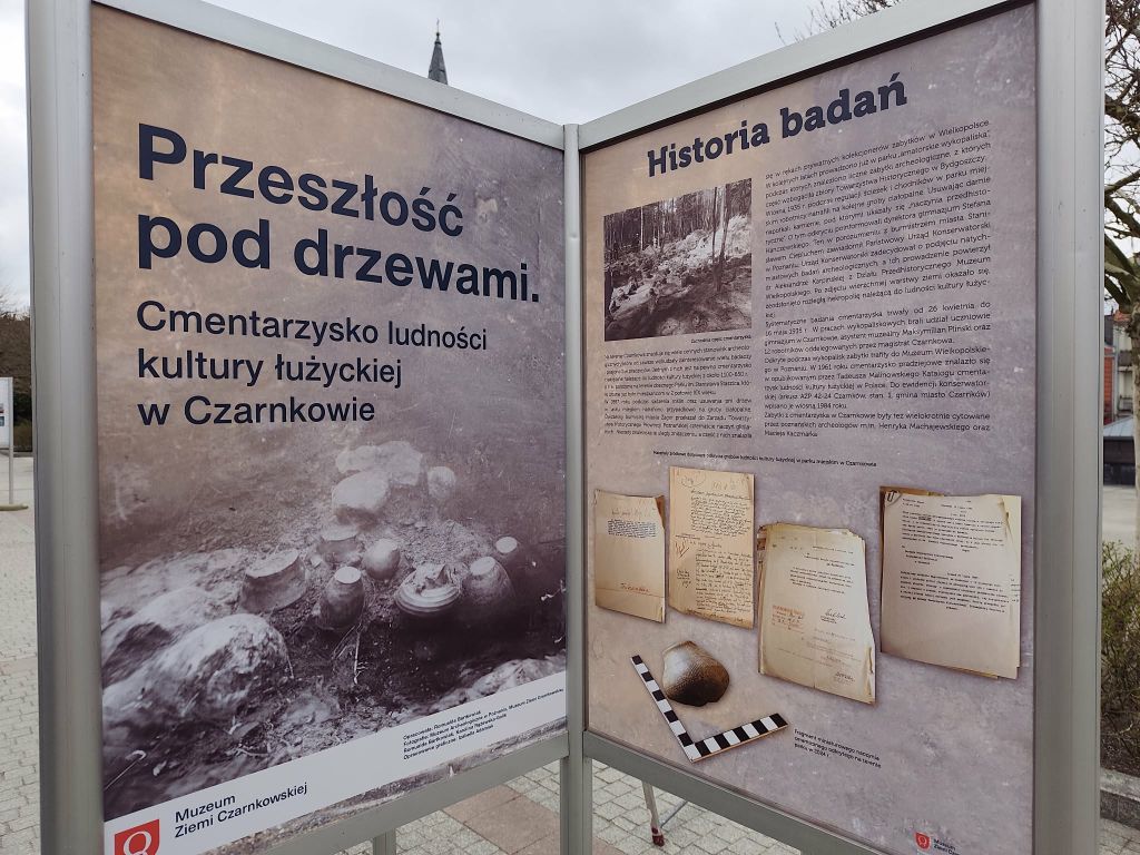 Zdjęcie do Przeszłość pod drzewami 2026