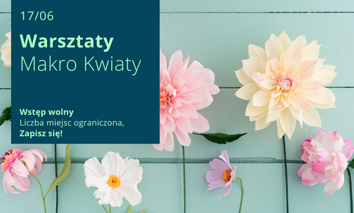 Treść plakatu ze zdjęciem kwiatów